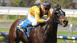 AMERICAN STAR - All American sprinter wins in Adelaide